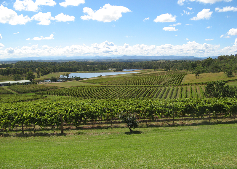 hunter valley wine tours newcastle