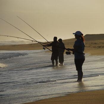 Newcastle Sight-seeing / Fishing Tours