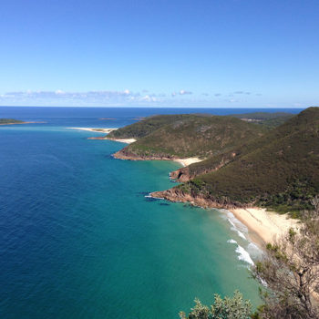 Port Stephens Sight-seeing Tours
